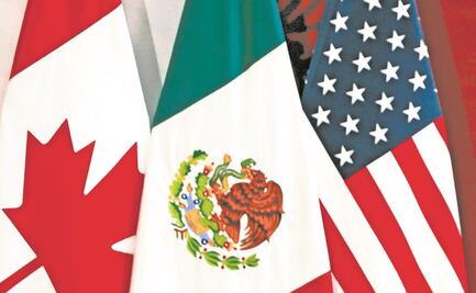 Por T-MEC, México tendrá comisión contra el trabajo forzoso infantil