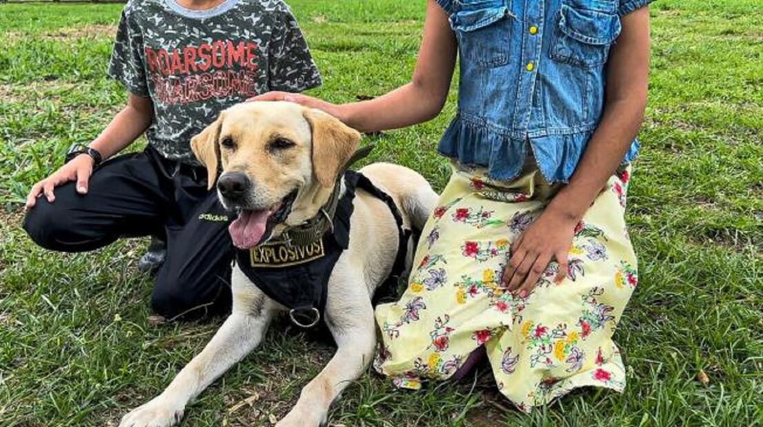 Ada se ha convertido en una perrita de terapia y ha demostrado tener gran empatía con los niños. FOTO: EJÉRCITO DE COLOMBIA