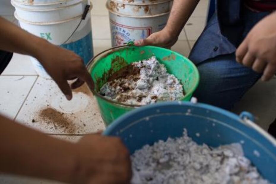 Michoacano crea ladrillos con nopal 