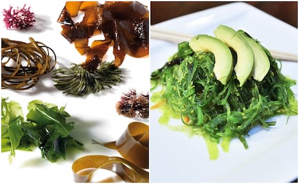 Aprovecha las propiedades de las algas en la cocina