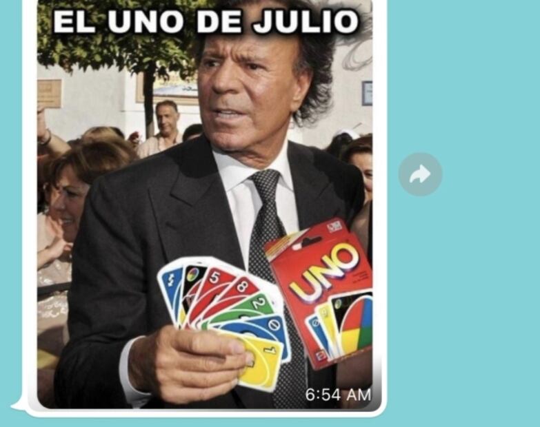 Llega julio y con él los divertidos memes de Julio Iglesias 