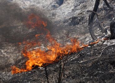 Industriales piden que gobierno sancione a quien provoque incendios