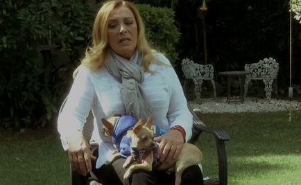Sylvia Pasquel busca crear conciencia sobre las mascotas