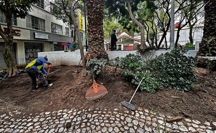Dan últimos detalles en la rehabilitación de Plaza Bruno Giordano