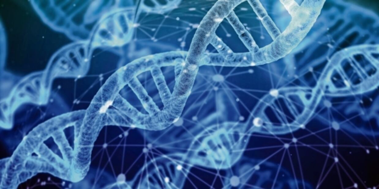 ¿Cuáles son los virus que permanecen escondidos en el cuerpo y rebrotan décadas después?