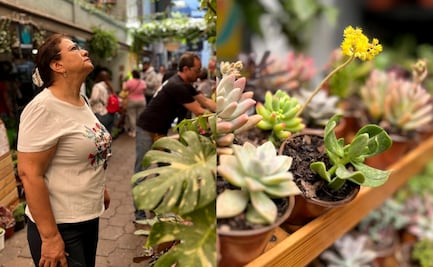 Cuándo y dónde es el Plant Fest 2025 de la CDMX