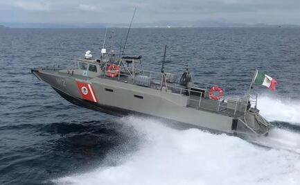 Semarnat, Agricultura y Marina refuerzan medidas de protección a la vaquita marina