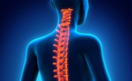 ¿Sabes qué es la higiene de columna? 