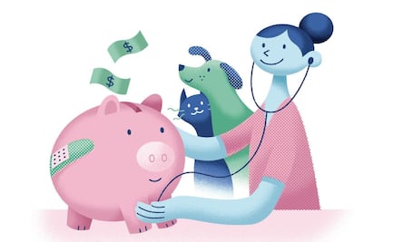 Cuida a tu mascota sin vaciar tu bolsillo