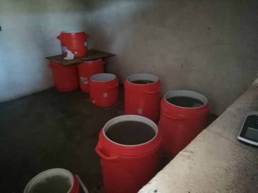 Descubren laboratorio de drogas sintéticas en Sinaloa; es el sexto del mes