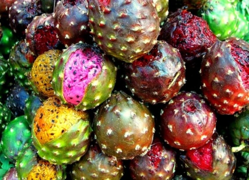 Pitaya o pitahaya ¿Cuál es la diferencia entre estas frutas?