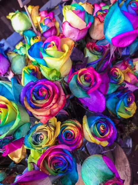 Feria de las Flores 2022 en San Ángel, estas son sus actividades