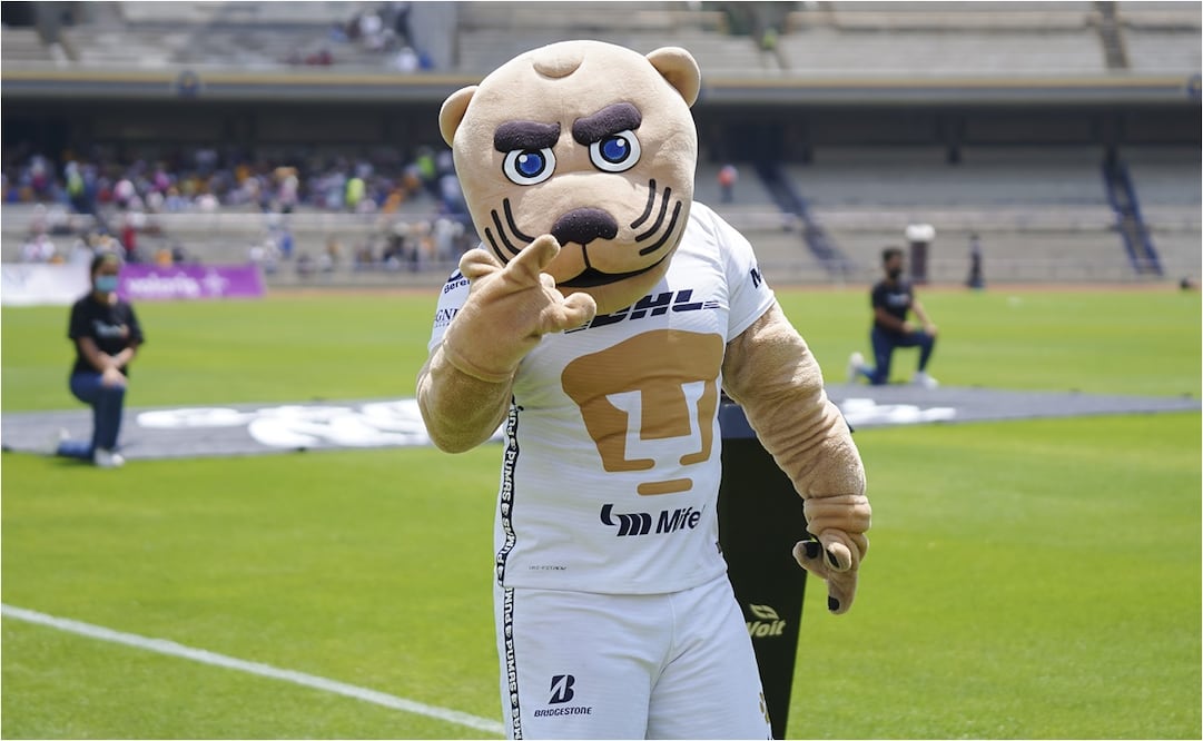 Pumas, la envidia de todos