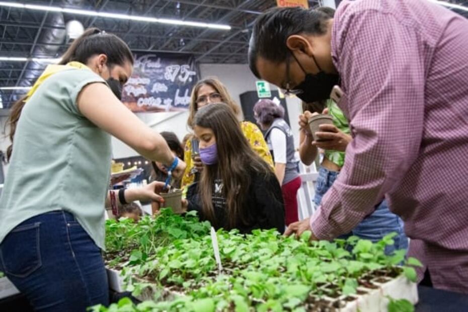 Talent Kids: actividades de arte, ciencia y tecnología para niños