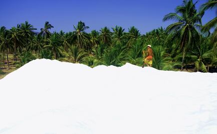 La sal de Cuyutlán, Colima, una de las más cotizadas del mundo