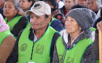 ¿Pensiones del Bienestar para los paisanos en el extranjero?; esto es lo que propone diputada de Morena