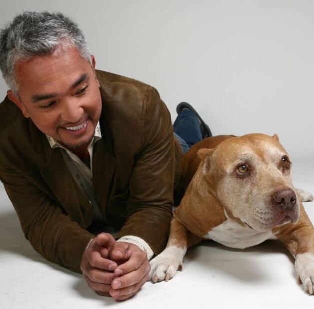 ¿Qué hace ahora César Millán, "El Encantador de Perros"?