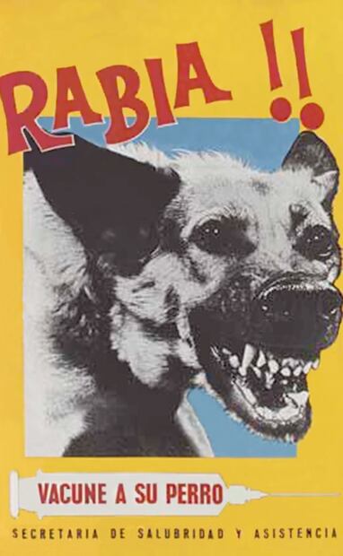 Cartel de la campaña de vacunación canina en los años 60, para combatir los contagios en humanos por interacción o ataque de perro. La entonces Secretaría de Salubridad y Asistencia comenzó con la inmunización masiva de canes, aunque no profundizó en otros métodos de cuidado animal, como la esterilización y adopción. Foto: Secretaría de Salud.