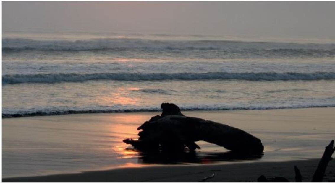 Imagen: veracruz.gob.mx