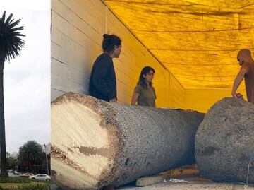 Dos artistas visuales y un escultor, los encargados de convertir a La Palma en una obra de arte
