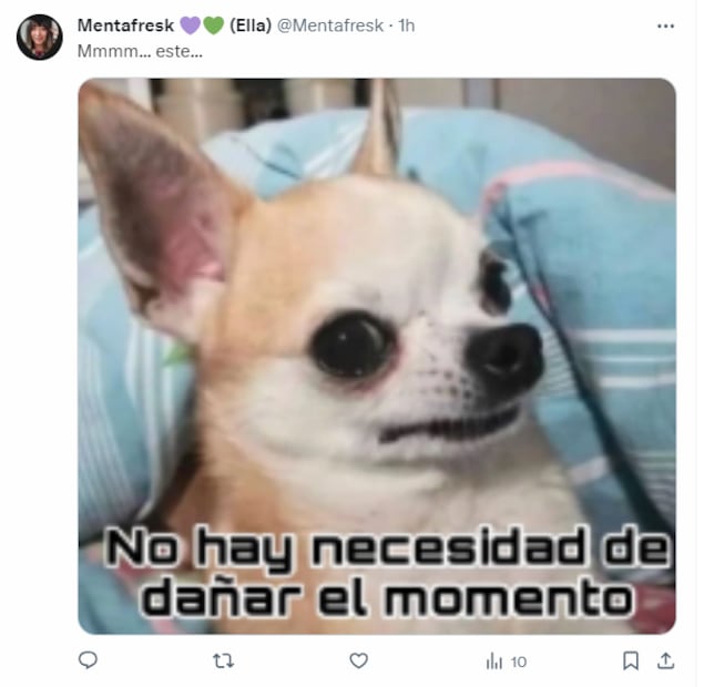 Memes de "El PAN resuelve". Foto: Captura de pantalla
