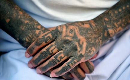 Arrestan a más de 20 pandilleros con cargos de asesinato en EU