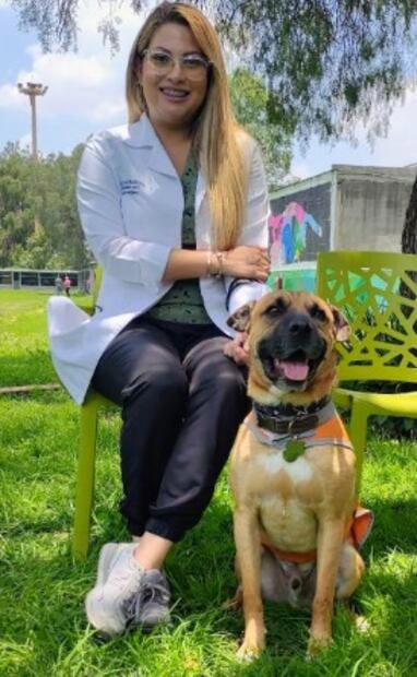 Elmar, el perro rescatado del Metro CDMX que ahora ayuda a niños con necesidades especiales