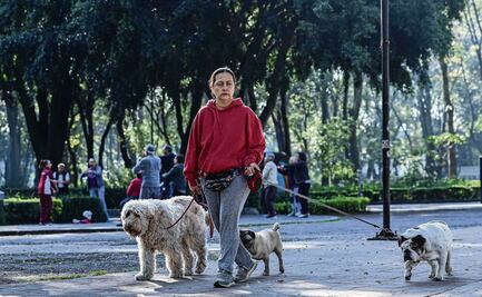 A cinco meses de la creación del Padrón de Paseadores de Perros, sólo 18 personas se han registrado