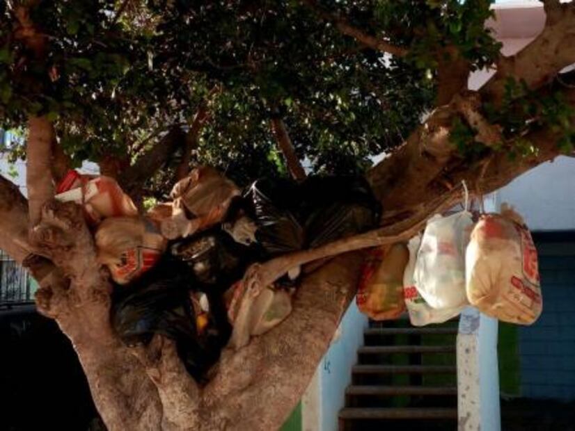 Alertan por acumulación de basura en calles de Guaymas