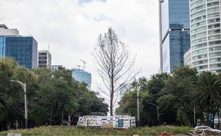 Cambios y adaptaciones (Columna Félix)