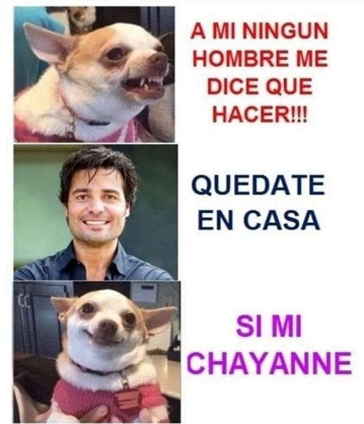 Reviven fans para apoyar a Mario Bautista