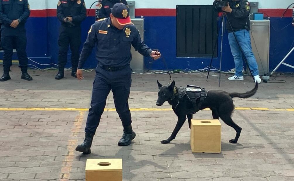 La policia canina de la CDMX celebró su aniversario 28; SSC destacó el papel estratégico de esta unidad (11/07/2025). Foto: Juan Carlos Williams / EL UNIVERSAL