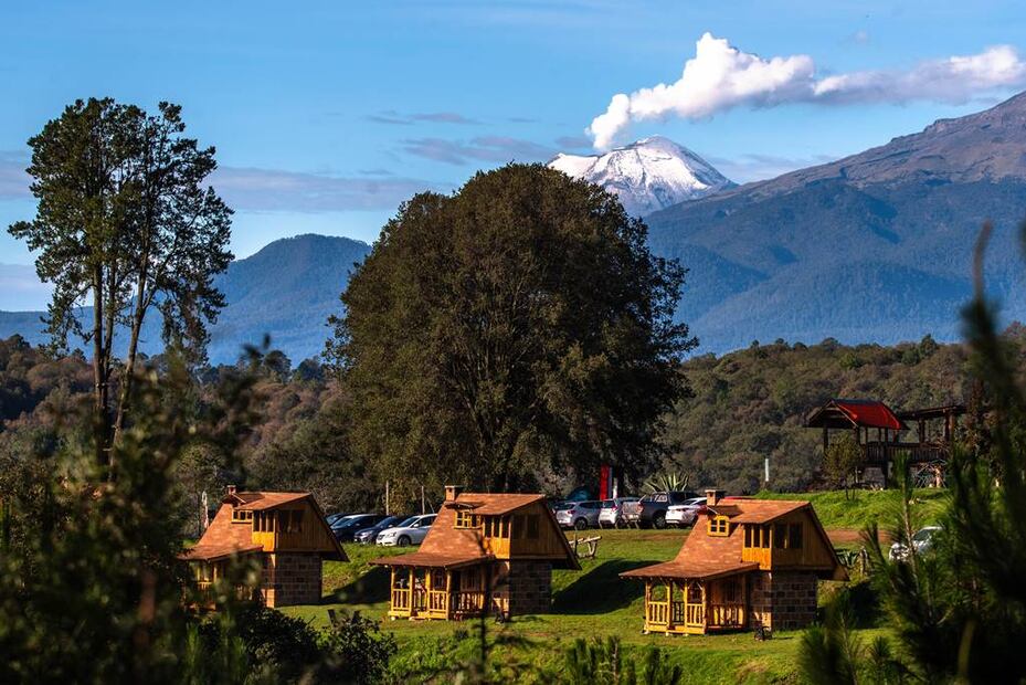Foto: Canto del Bosque