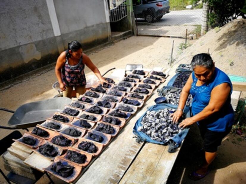 Los últimos guardianes que conservan el azul añil en Oaxaca