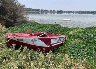 Suspenden operativo para capturar cocodrilo de la Laguna de La Piedad, en Cuautitlán Izcalli