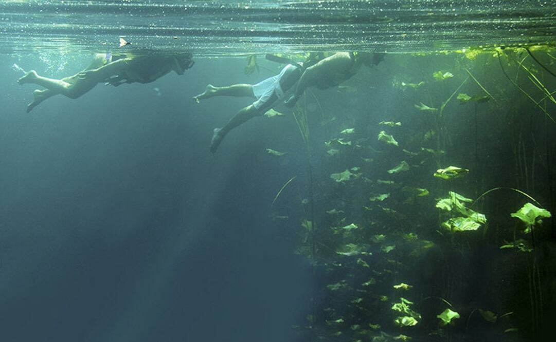 EFE/Claudio Pellettieri/Xcaret, archivo