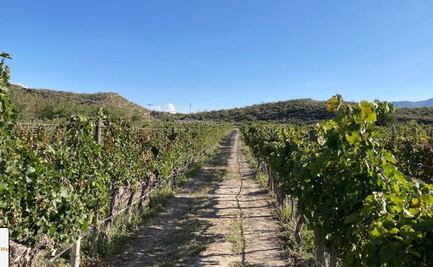 "No son criminales": dice Antonio Attolini sobre hombres que irrumpieron Casa Madero