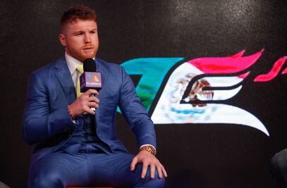"Canelo" responde a aficionado que pidió suspender su pelea
