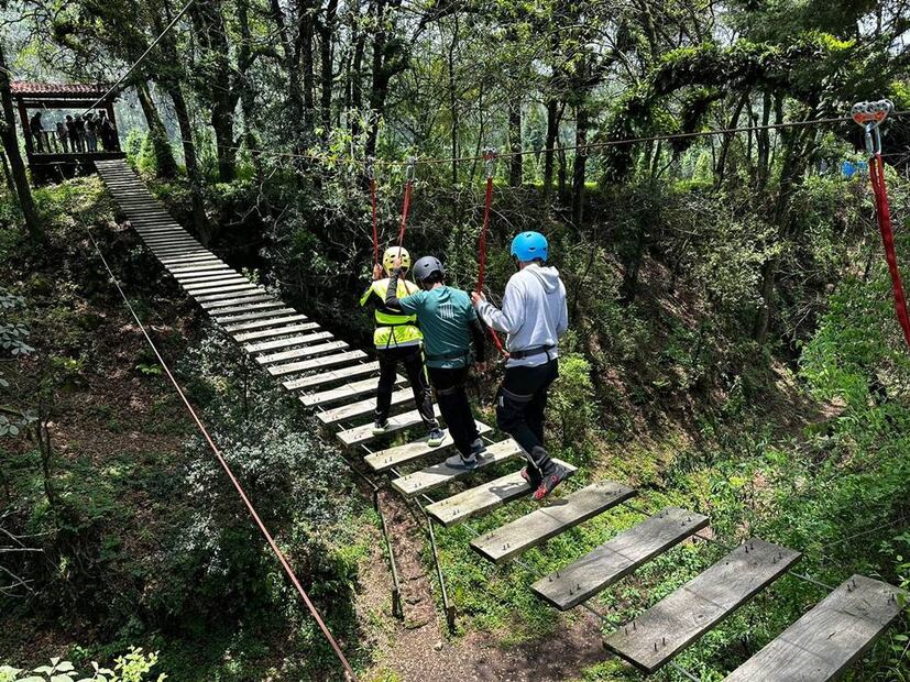 Foto: Bosque Esmeralda