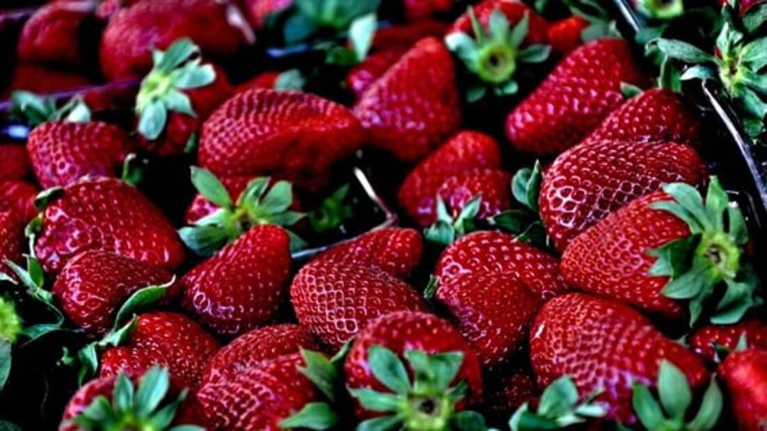 ¿Qué frutas son buenas en el desayuno?