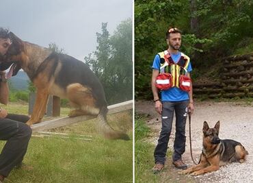 "Kaos", el "perro héroe" que rescató a víctimas de sismo en Italia, muere envenenado