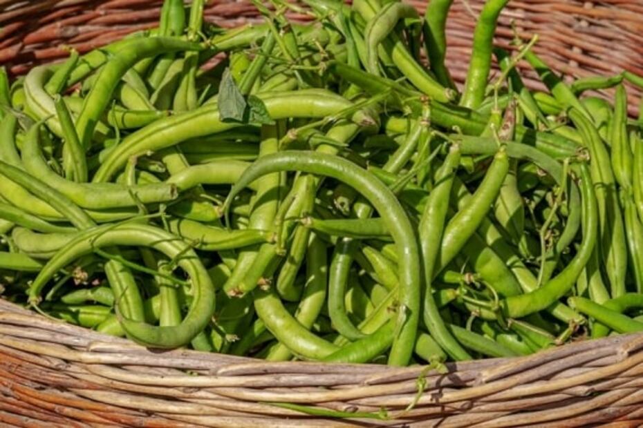 Alimentos que debes evitar si padeces colitis