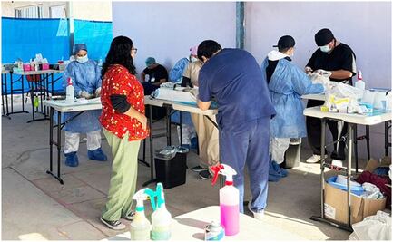 Confirman 4 muertes por picadura de garrapata en BCS; analizan más de 60 posibles casos