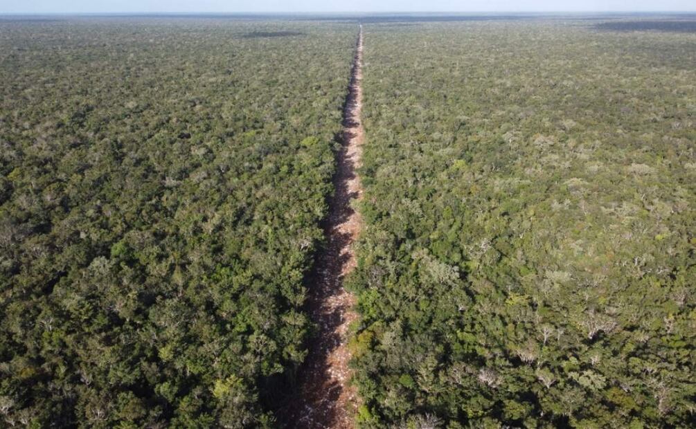 El Tren Maya ha sido objeto de múltiples denuncias. Foto: Especial
