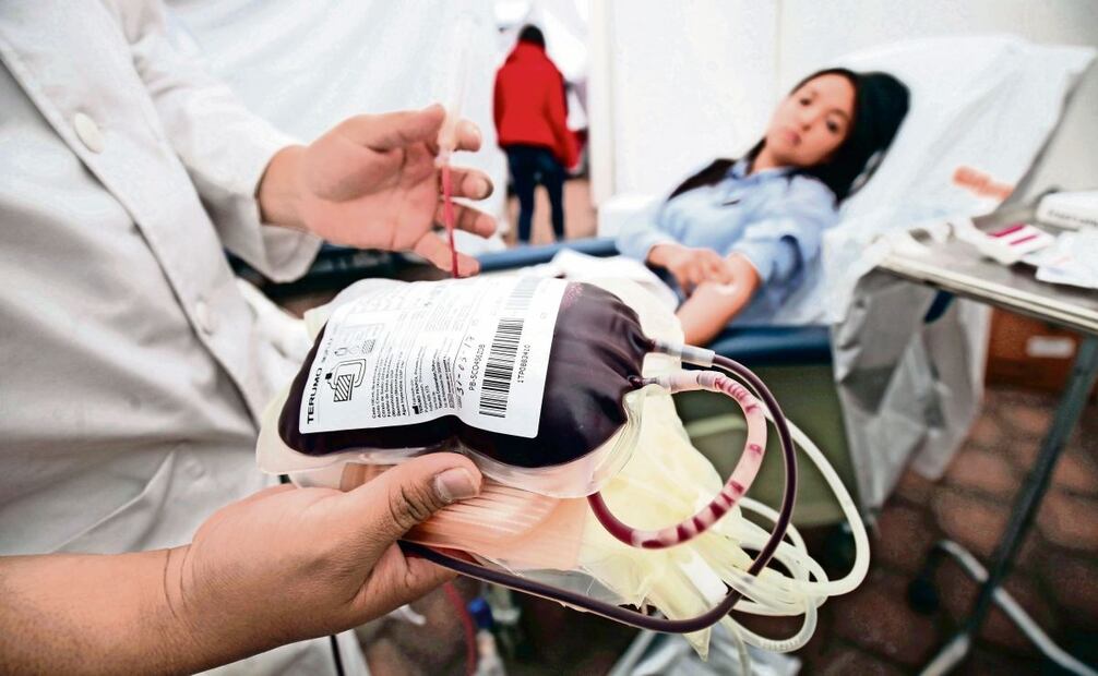 Para donar sangre es necesario tener entre 18 y 65 años y pesar mínimo 50 kg. Foto: Jorge Alvarado