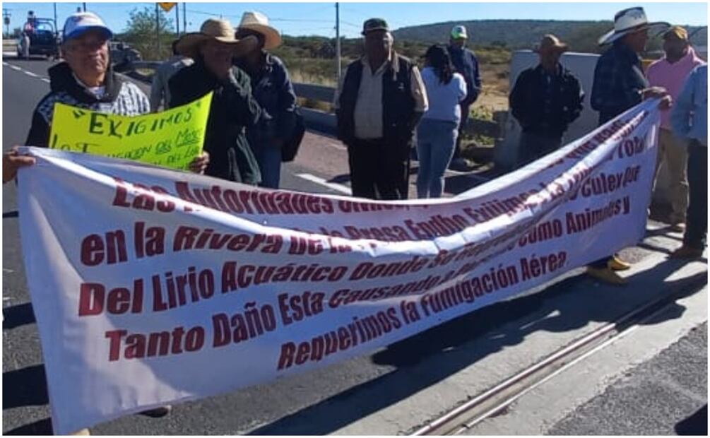 Bloquean autopista Arco Norte para exigir la fumigación del mosco Culex de la presa  Endho en Hidalgo (26/11/2024). Foto: Especial
