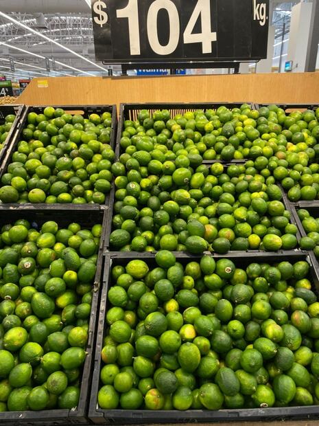 ¡No dan tregua! Precios de aguacate y limón hasta en 100 pesos por kilo: Profeco