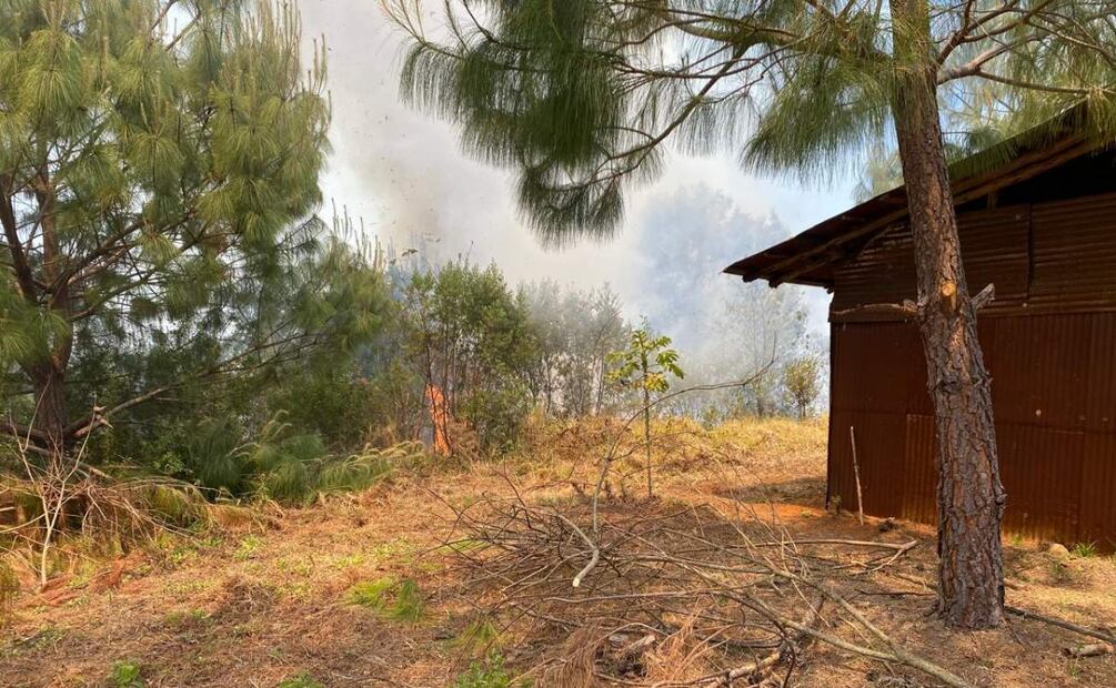 Los municipios más afectados por incendios son Zapotitlán Lagunas ubicado en la Mixteca y San Juan Ozolotepec en la Sierra Sur de Oaxaca (16/04/2025). Foto: Especial