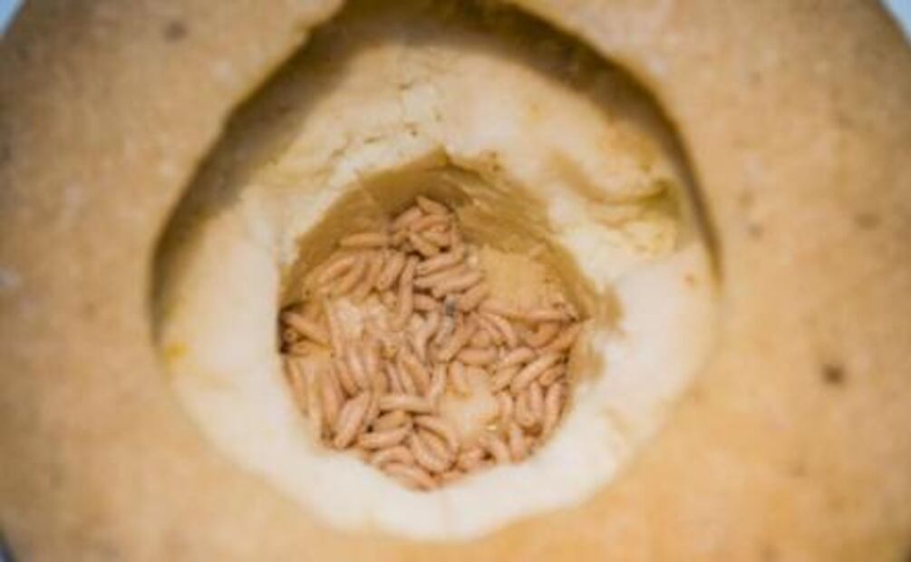 ¿Probarías el estofado de cabeza de cabra? Visita el Museo de la Comida Asquerosa