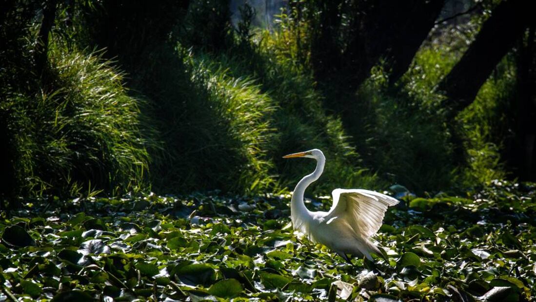 Foto: Kevin. Flickr